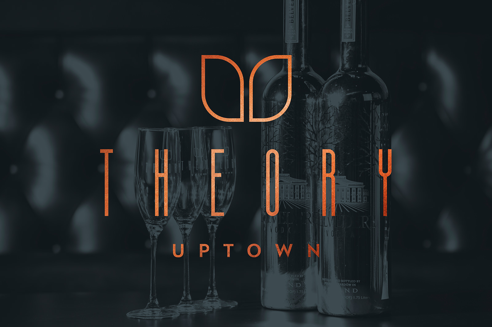 THEORY WEB MOCKUP 01