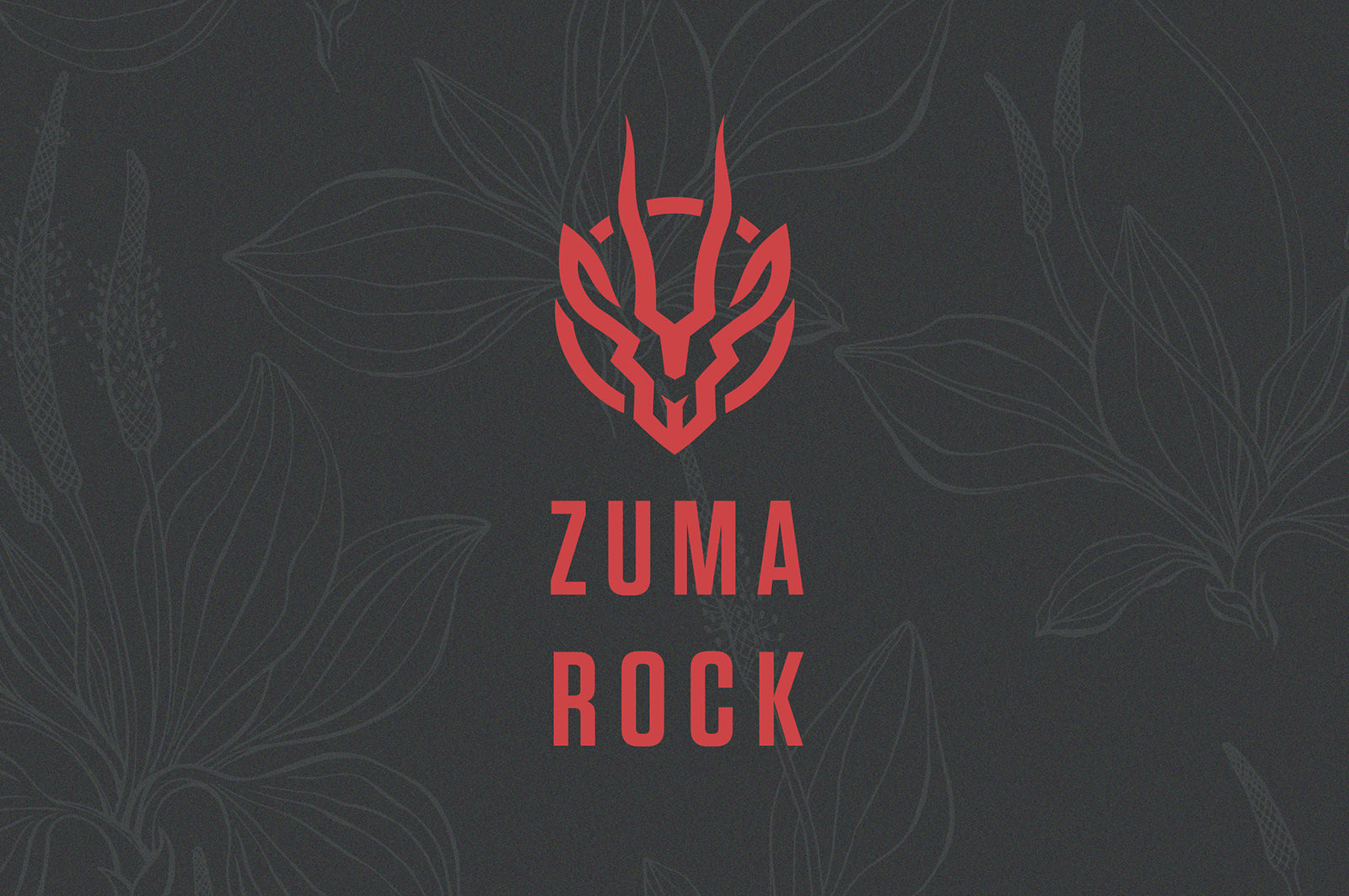 ZUMA ROCK WEB MOCKUP 03